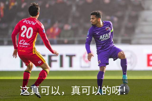 这真可以，真可以的呀！
